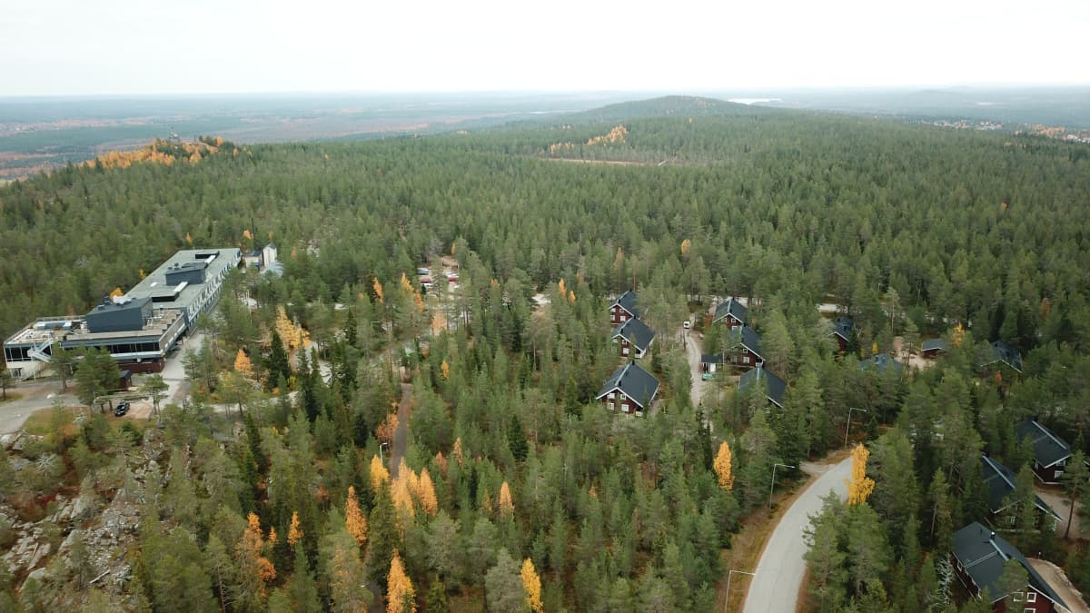 Ilmakuva Ounasvaaralta, alla näkyy metsää ja taloja