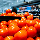 Tomaattia ja kurkkua kaupan vihannesosastolla.