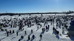 Tuhannet pilkkijät ja katselijat levittäytyivät Tornion Suurpilkeissä Tornionjoen jäälle.