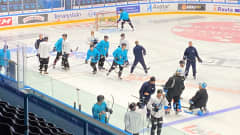 Jääkiekkoliigajoukkue Pelicans harjoittelee Lahden jäähalissta. Pelajaat lähdössä luistelemaan kuultuaan valmentajien ohjeet.