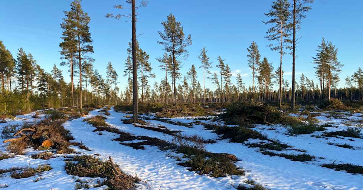 yle.fi