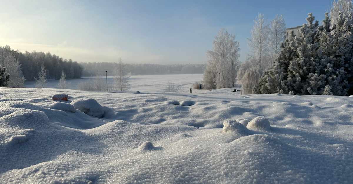 Rare Job Opportunity in Central Finland: 14-Year-Olds Needed!