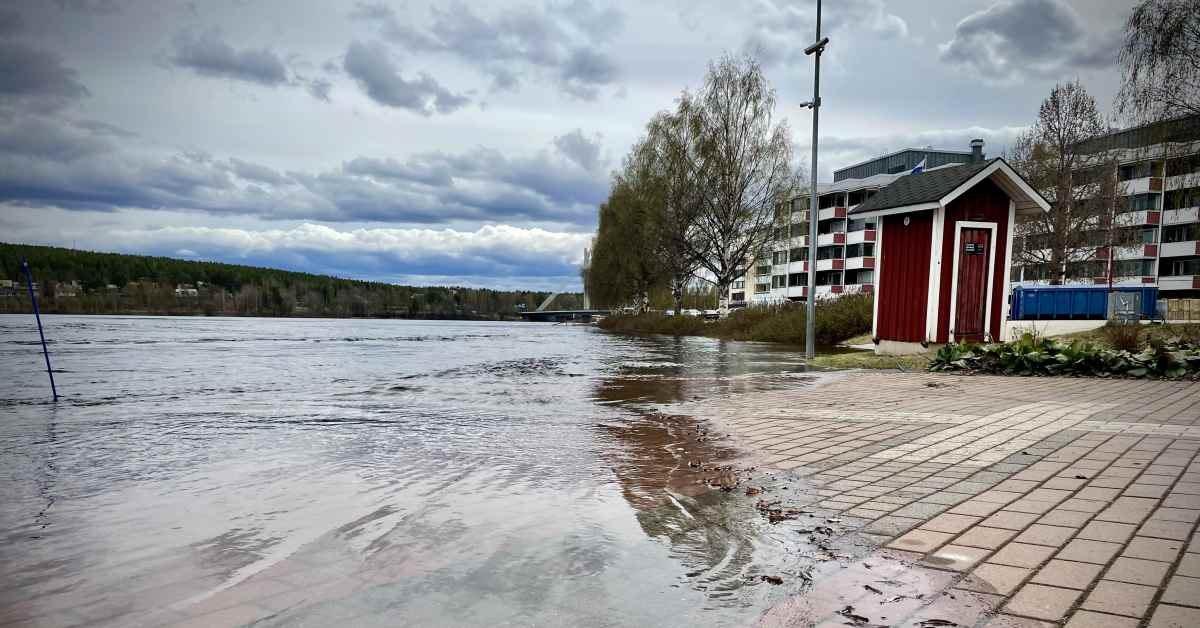 Tulvavesi nousee yhä Lapissa: neljän hengen autoseurue jäi veden saartamaksi Ivalossa – pelastuslaitos haki veneellä | Lappi