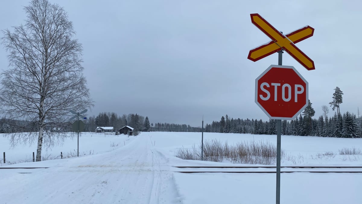 Tasoristeyksestä varoittava Stop-merkki erottuu hyvin keskeltä lumen valkoiseksi värjäämää maalaismaisemaa.