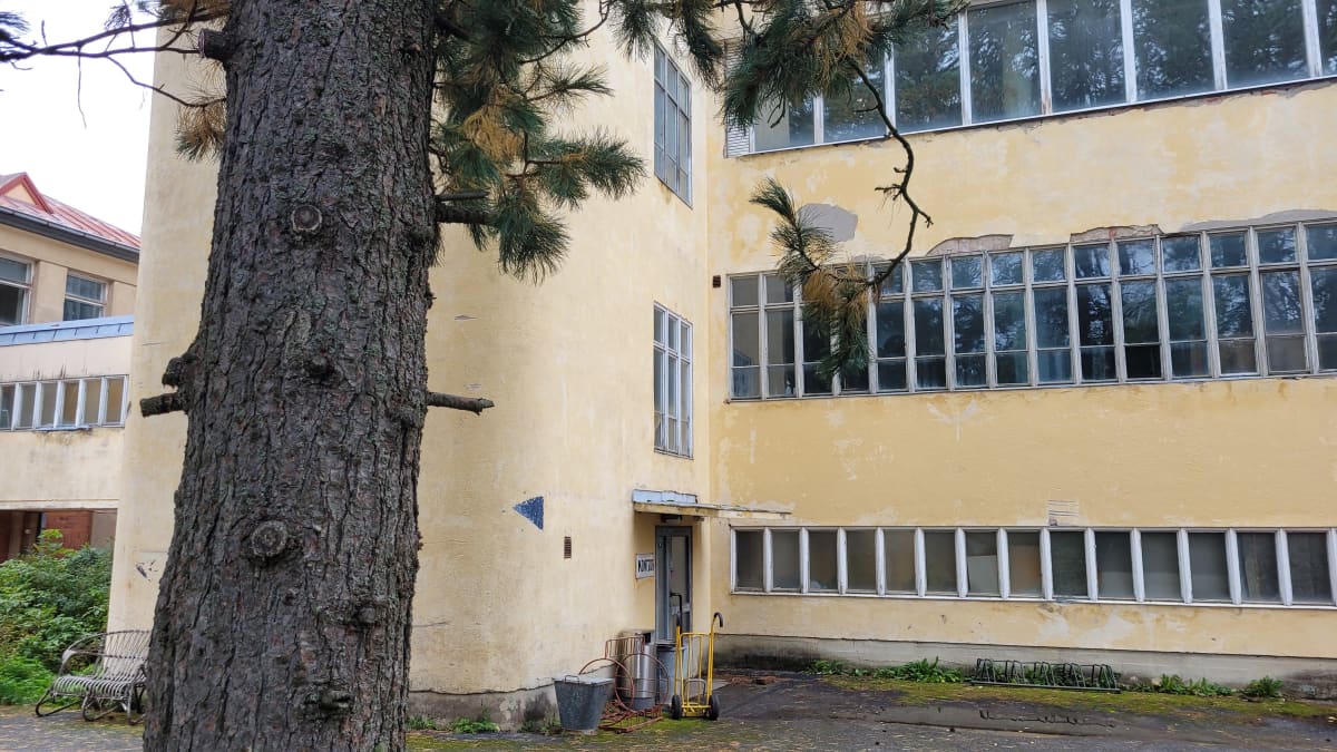 Kurikan lakkitehtaan sisäpihanäkymä. Keltainen rapattu rakennus, vasemmalla iso puu. Rakennuksen pyöristetty nurkka kuvassa vasemmalla ja etualalla ikkunoita kahdessa rivissä.