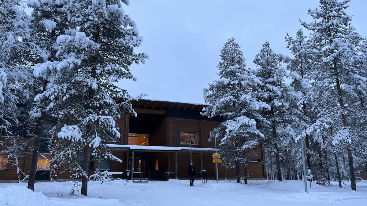 Sodankylän geofysiikan observatorion ruskea päärakennus Polaria. Edustalla luminen maa ja lumisia puita.