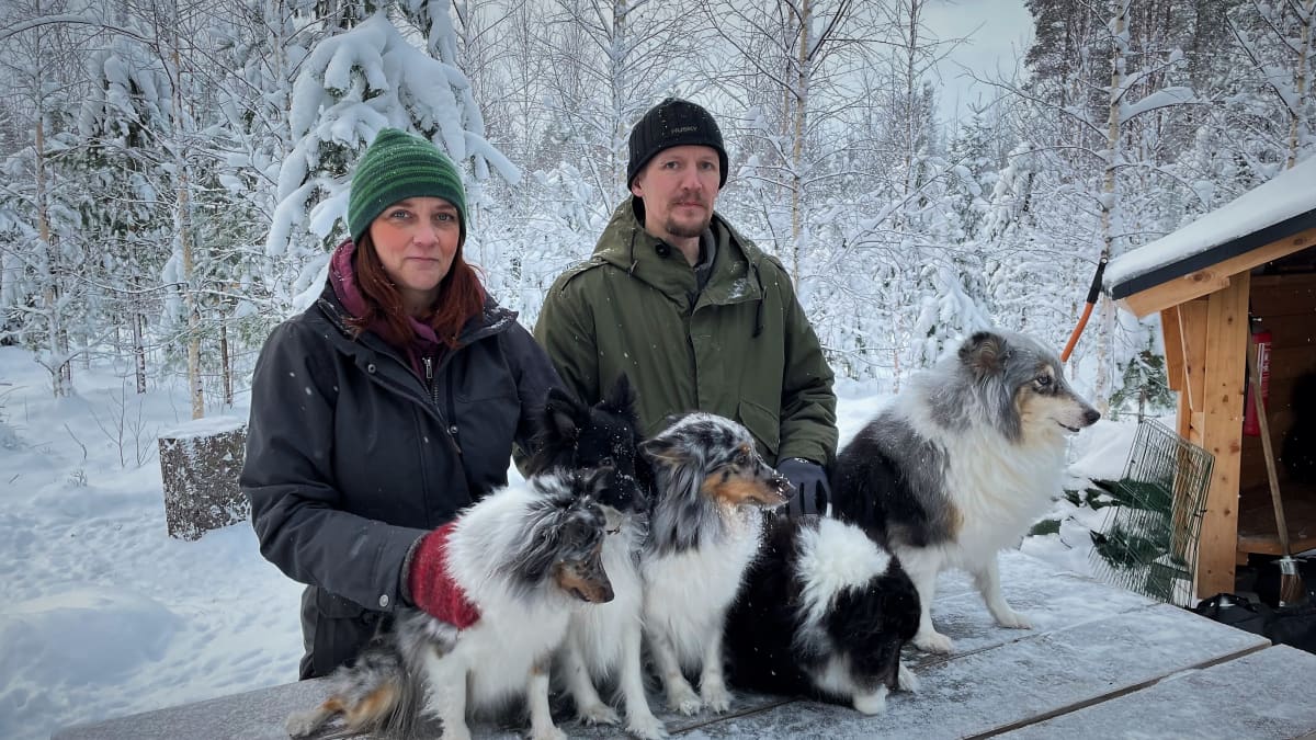 Koirametsän yrittäjät koiriensa kanssa metsän laavulla.