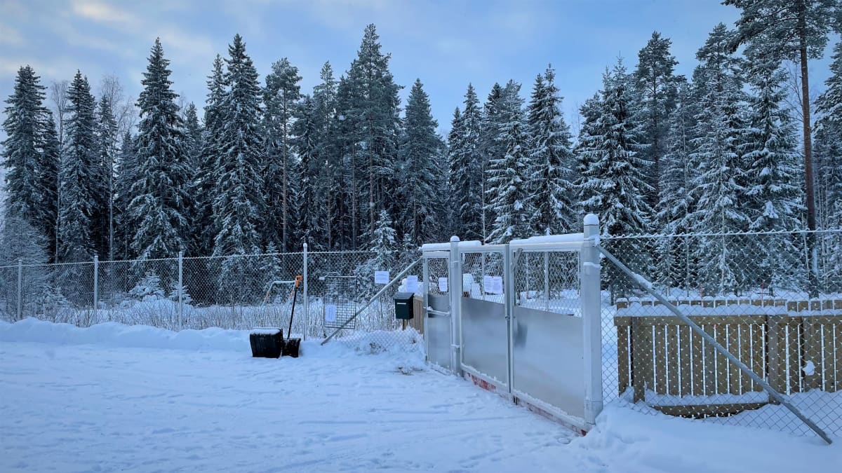 Koirametsän portti