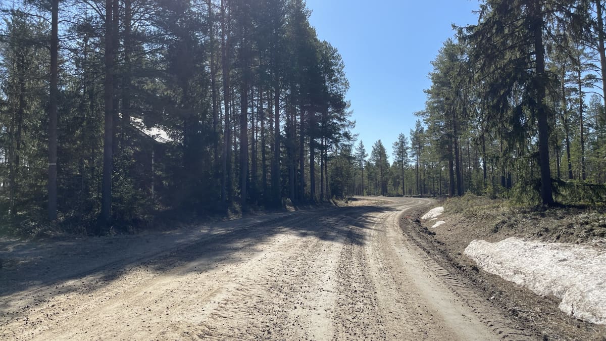 Kostea soratie mutkittelee metsämaisemassa.