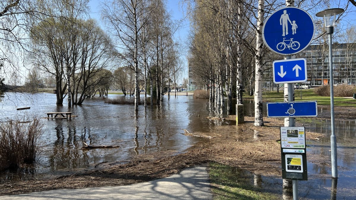 Tulvaa Torniossa. 