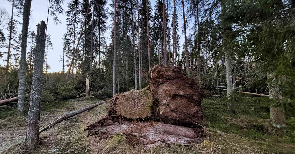 yle.fi
