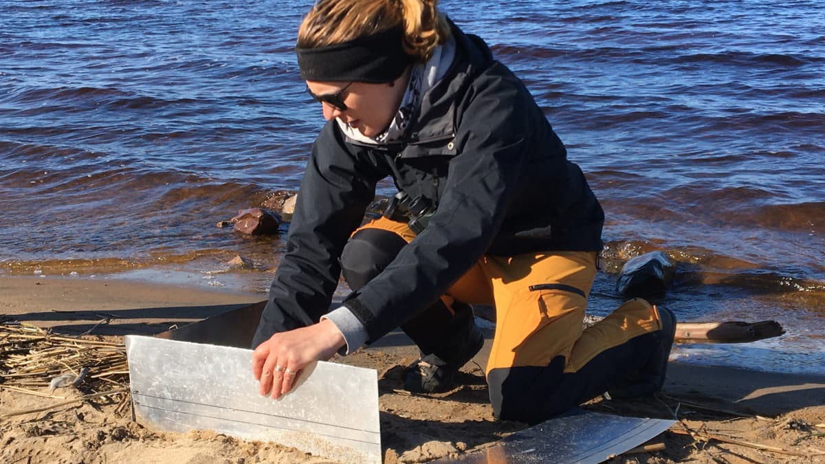 WWF:n meriasiantuntija Anna Soirinsuo kerää näytteitä Nallikarin hiekkarannalla mikromuovin määrän selvittämiseksi.
