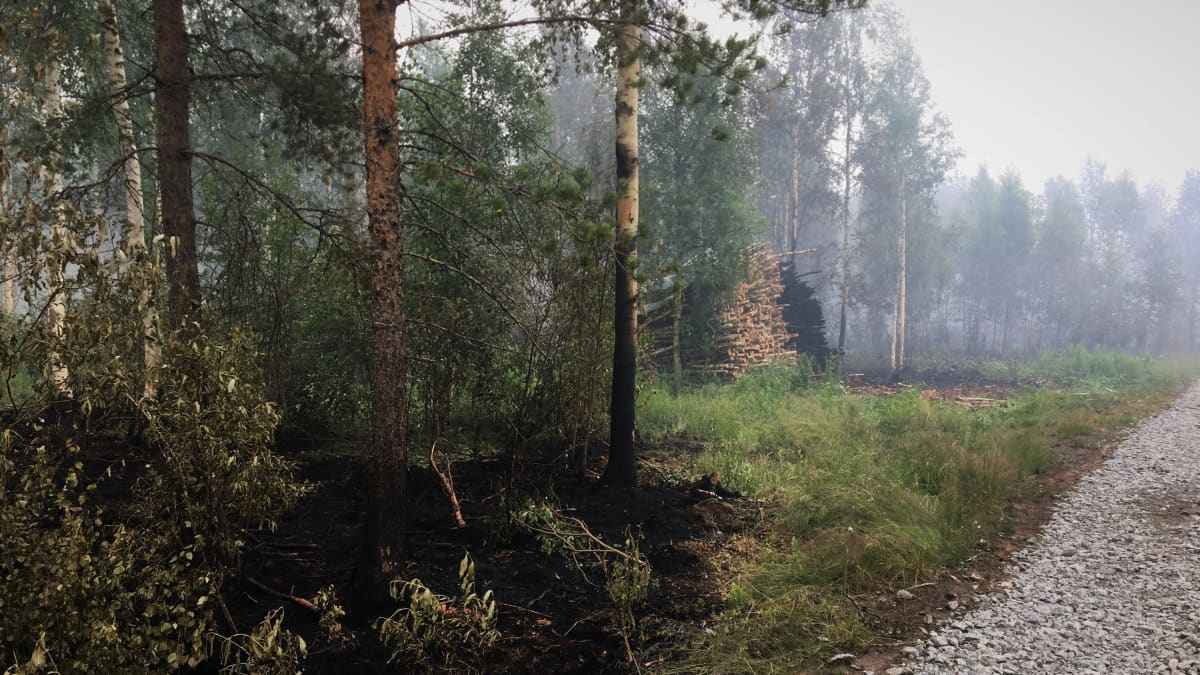 Metsäpalon tuhoamaa metsää Muhoksella 2020.