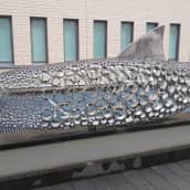 Poliisin muikut-teoksen suurin kala on viisi metriä pitkä.