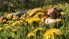 Nainen makaa voikukkaisella nurmikolla