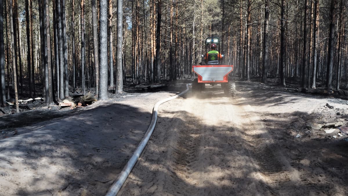 Palomies ajaa mönkijällä palaneen metsän keskellä.