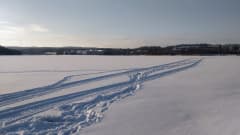 Jyväsjärven jäällä moottikelkan jälkiä lumessa. 