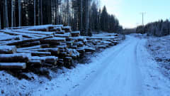 Puupinoja on talvisen mökkitien varrella.