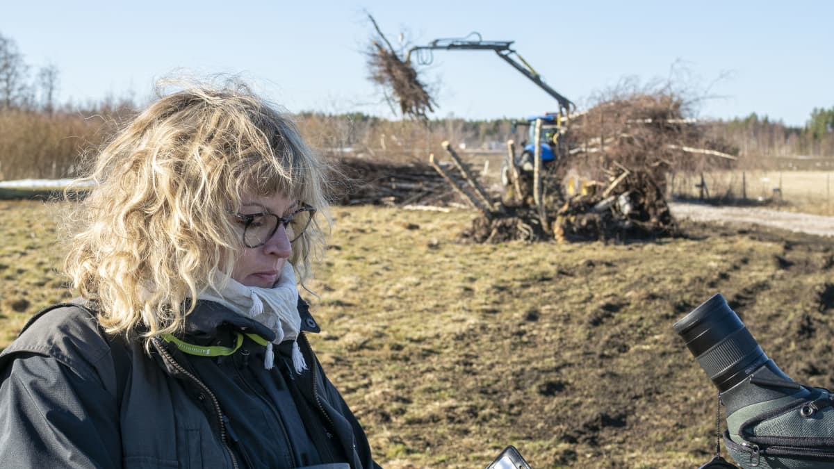 Limingan luontokeskuksen hoitaja Ulla Matturi rakenteilla olevan uuden luontopolun edessä.