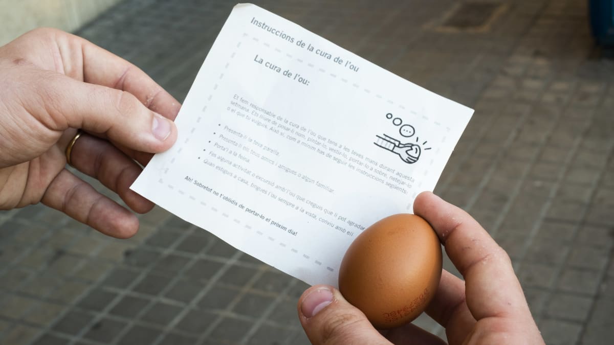 Barcelonalainen Carles, 24, valmistautuu vanhemmuuteen huippusuositussa  isyysvalmennuksessa, jossa pidetään huolta kananmunasta