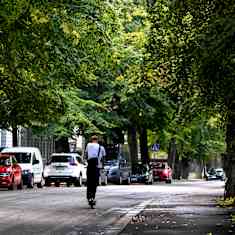 Nuori mies ajaa sähköpotkulaudalla tiellä jonka laidalle pysäköity autoja ja isot puut kasvaa tien molemmin puolin.