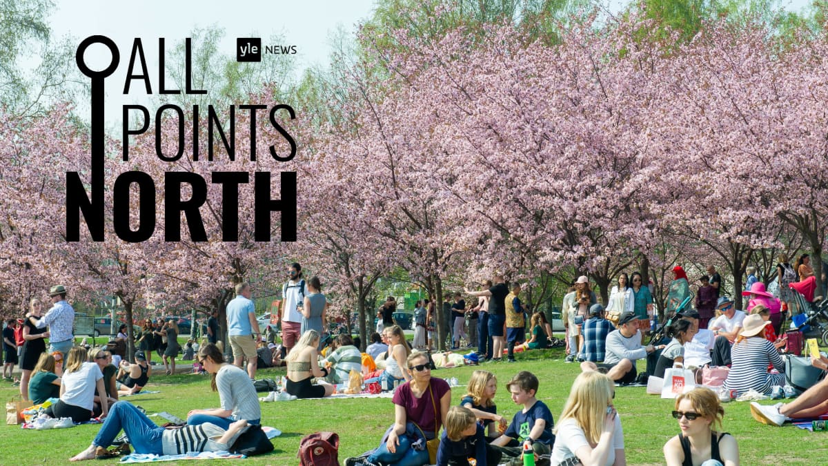 Ihmisiä istuu nurmikolla kukkivien kirsikkapuiden alla. Kuvassa "All points North" -logo.