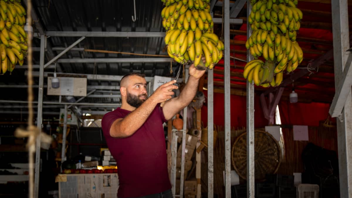 hedelmäkauppias Abdullah Hariri leikkaa banaaniterttua kaupassaan.