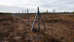 Poroesteaita Sallassa Suomen ja Venäjän rajalla. Maasto in soista, taustalla metsää. Aita on korkea ja se on tehty isosta metallisesta verkosta.