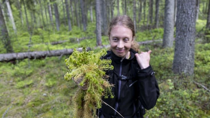 GTK:n erikoistutkija Liisa Maanavilja hymyilee ja pitää kädessään nippua rahkasammalta. Taustalla sammal- ja mustikkapeitteinen kuusikorpi. 