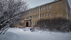 Kolmikerroksinen Pohjois-Pohjanmaan maakuntamuseon Ainola pensaiden takana talvella lumimaisemassa.