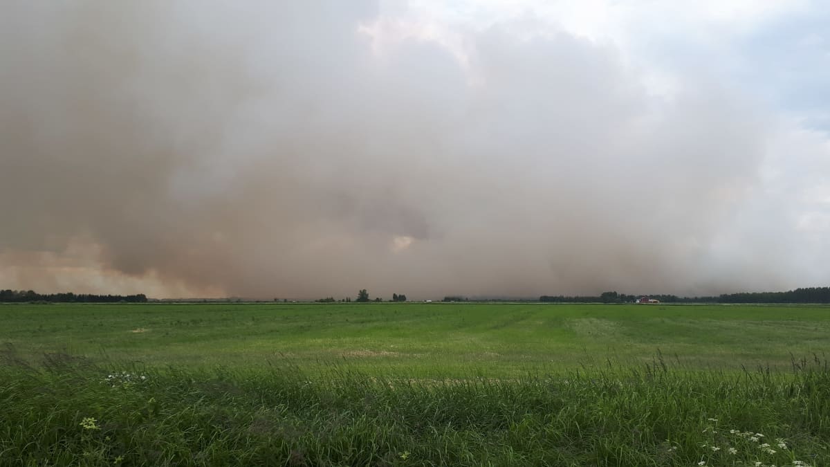 Metsäpalosta aiheutunutta savua peltomaisemassa Muhoksella.