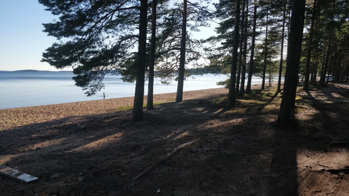 Yksi Suomen pisimmistä hiekkarannoista on myös varjoisa puiden ansiosta