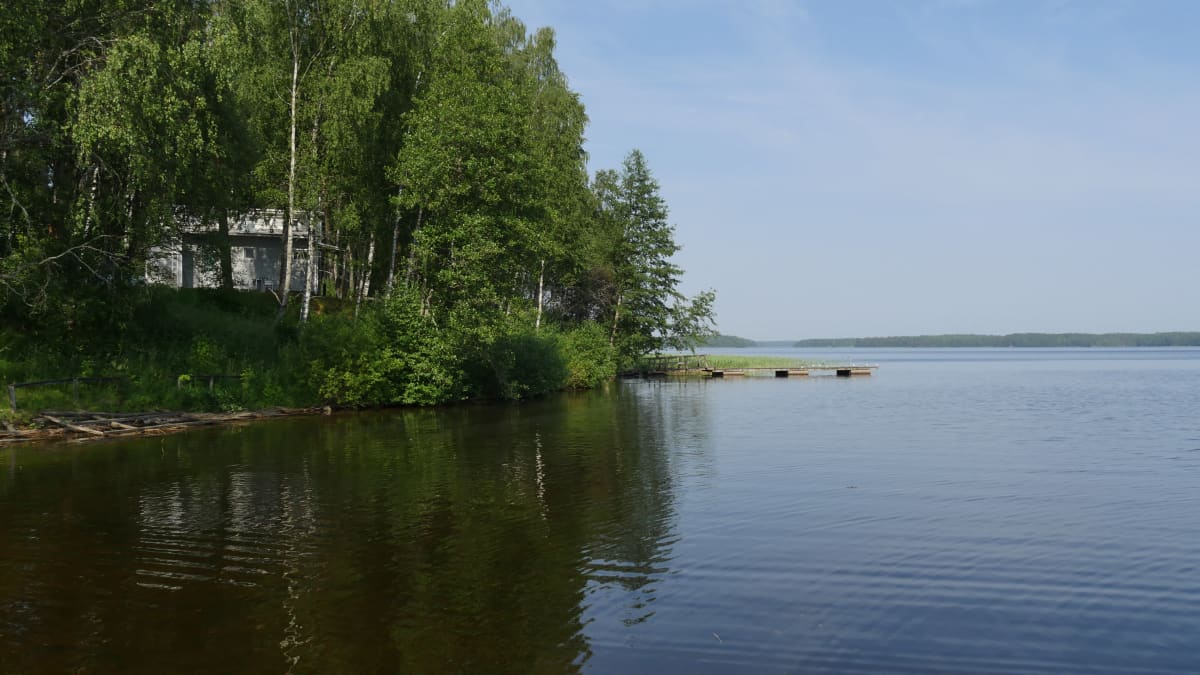 Saimaa
