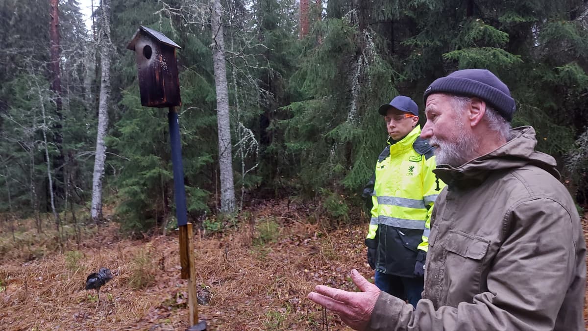 Helmip ll n Poikueita Tappavien N tien Varalle Keksittiin Ovela Juoni 
