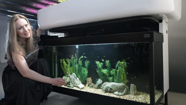 Toimittaja Helena Lappeteläinen on vesi-ja kasviviljelyä yhdistävän aquaponicsjärjestelmän vierellä.