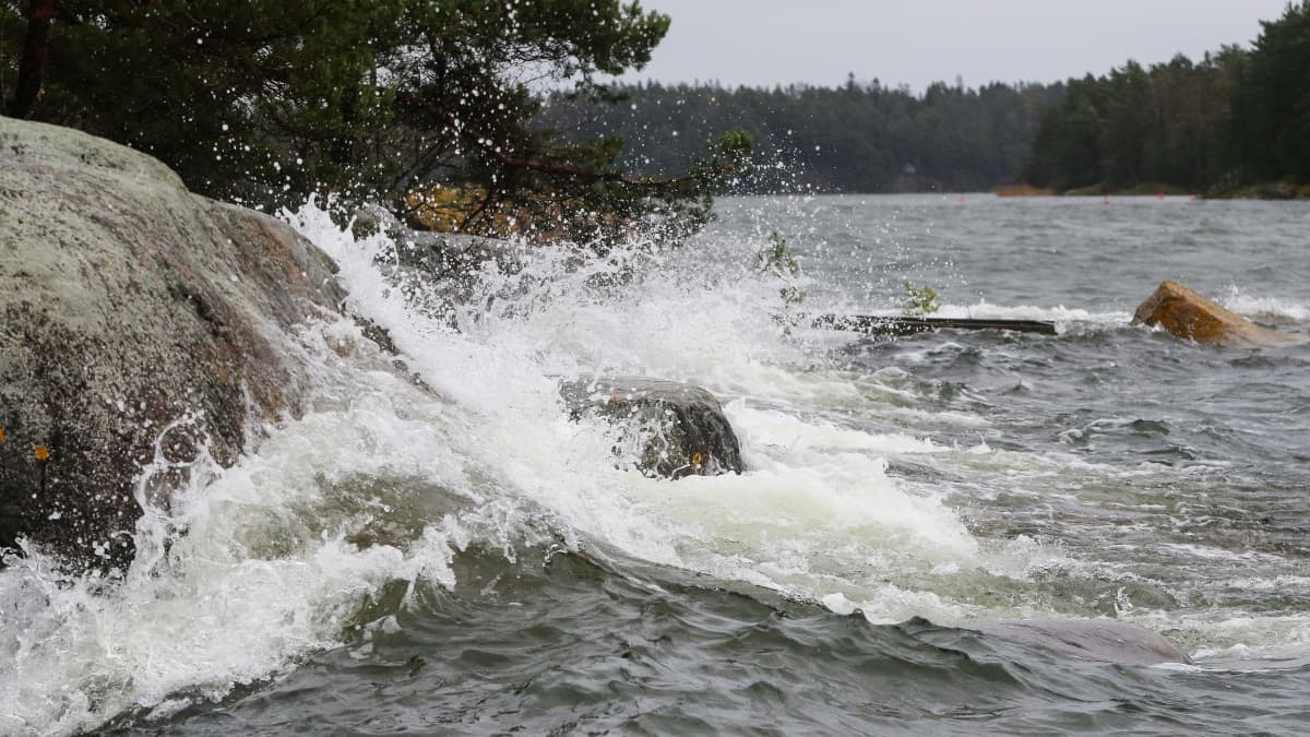 Höga vågor slår mot en klippa i havet.