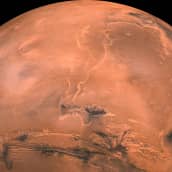 Planeten Mars. 