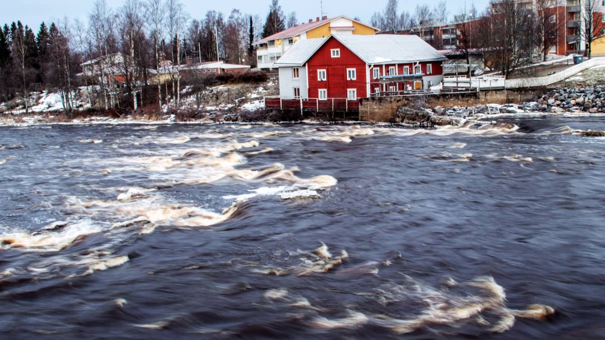 Pyhäjoen Oulaistenkoski Oulaisissa tammikuussa 2020.