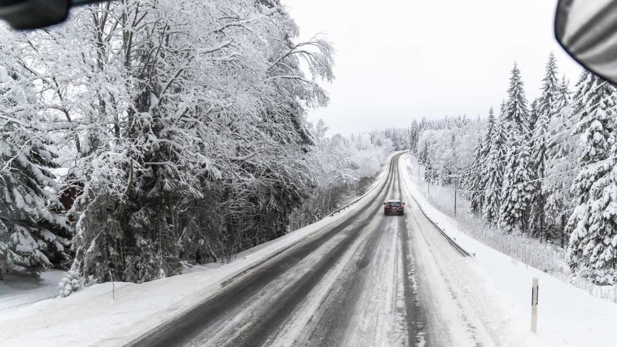 Näkymä rekan ikkunasta, lumisia puita aivan tien vieressä.