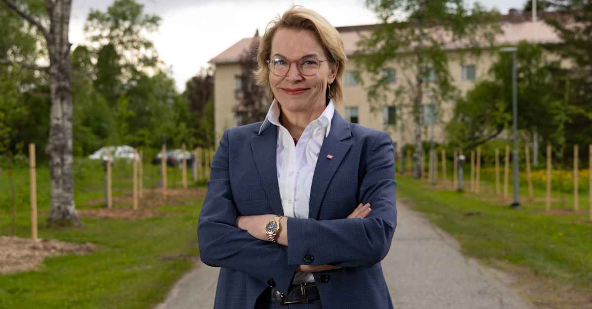 Rovaniemellä hoksattiin, että johtajista on tapana teettää muotokuva – nyt kaupunki tilaa kerralla kaikista