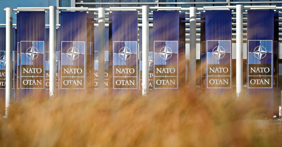Hyödyt Natoon liittymisestä ilman Ruotsia olisivat hyvin pienet, arvioi asiantuntija
