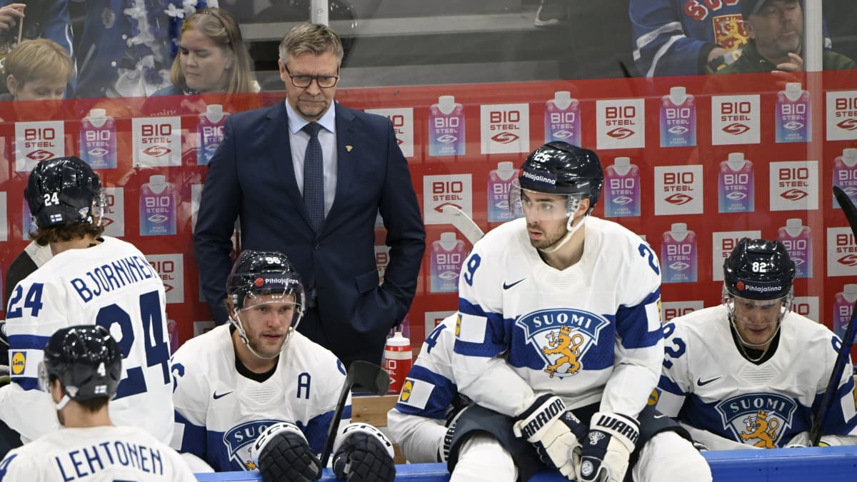 Leijonilla riittää mietittävää.