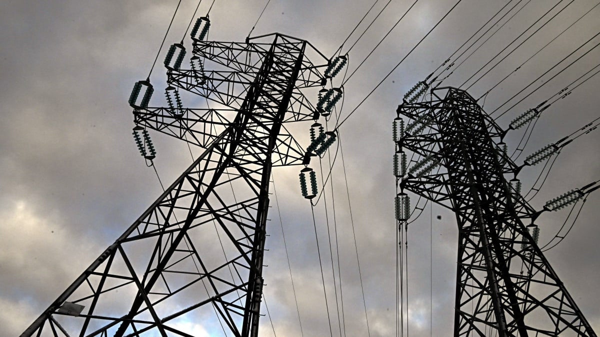 Entrepreneurs taking a double hit from high electricity prices News