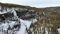 Ruskea virta -jääputous ja metsää Korouomalla ylhäältä kuvattuna.