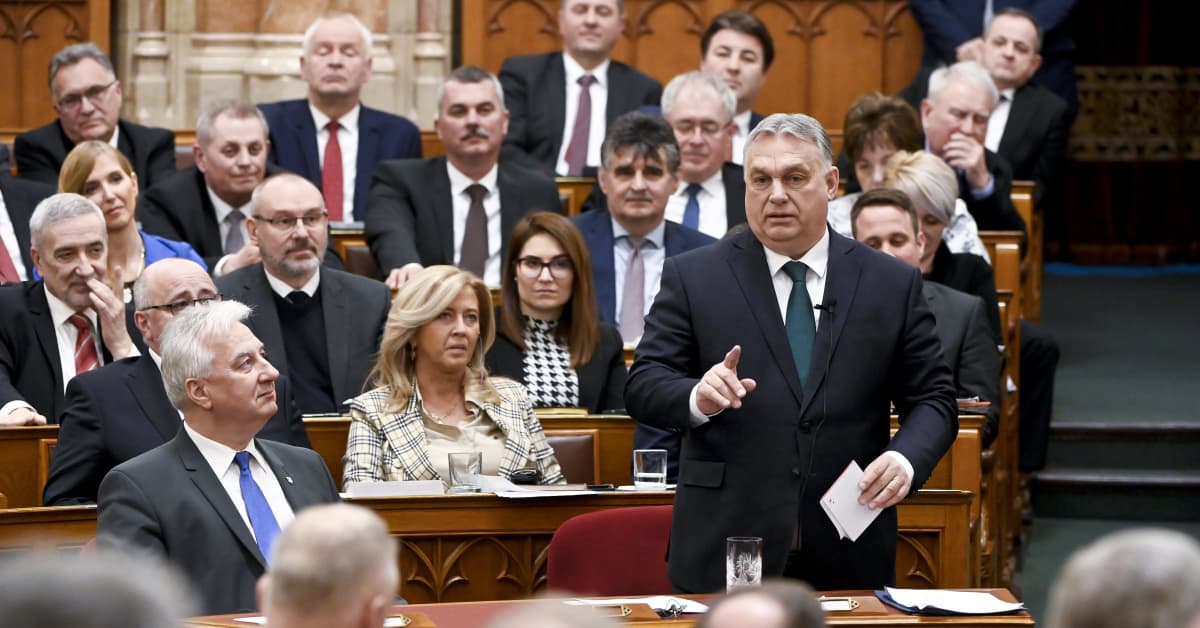 Unkari lupasi äänestää Suomen Nato-jäsenyydestä viikon kuluttua, sanoo ulkoministeri Haavisto
