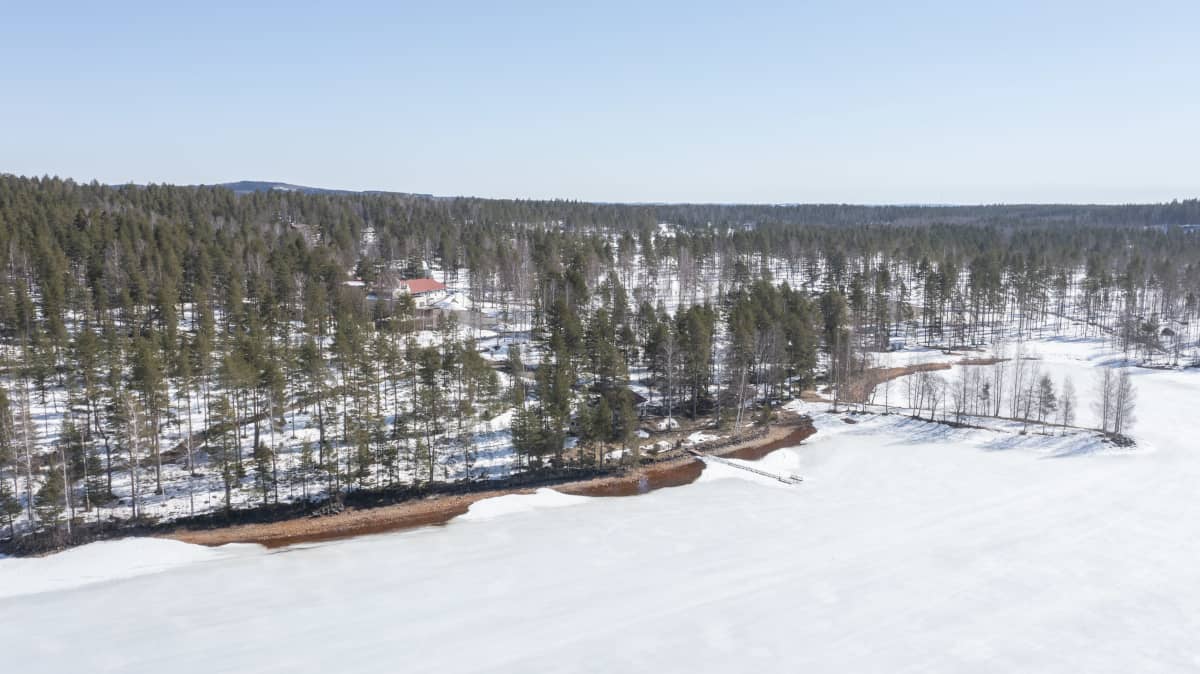 Aluetta, jolle suunniteltu Kontiorannan Puulaaksoa.