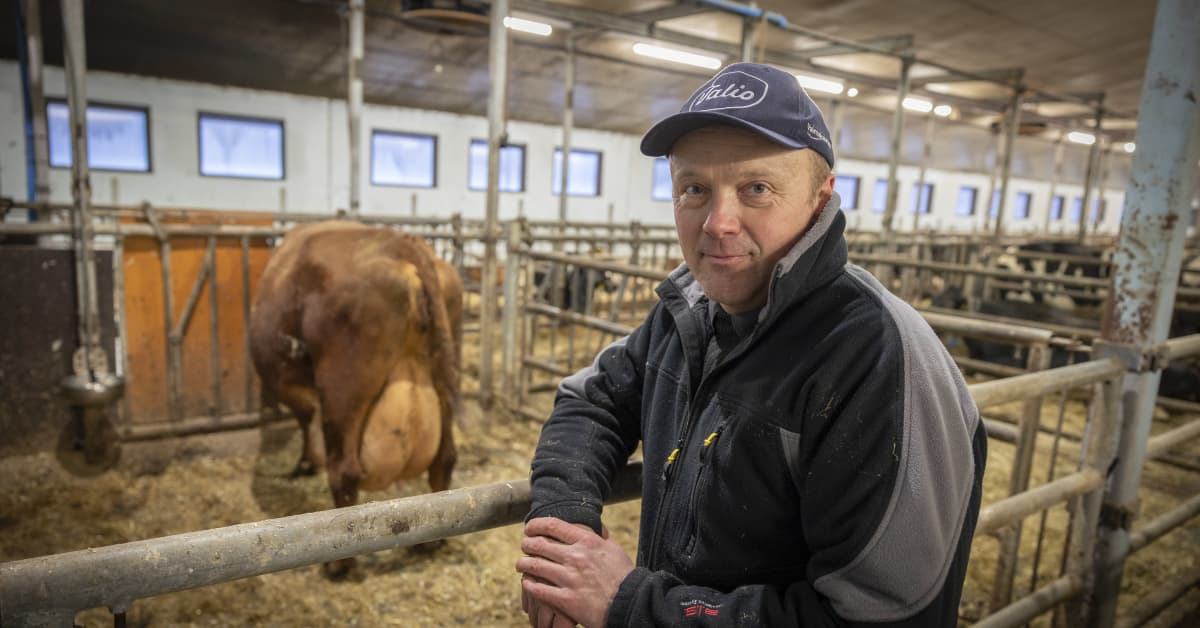 Maitokarjatilallinen Mika Tervo maksaa lannoitteista ja sähköstä kymmeniä tuhansia euroja aiempaa enemmän – hallitukselta tivataan eduskunnassa ratkaisuja