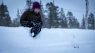 Nainen istuu lumihangella ja katsoo valkoista riekkoa lumisessa maisemassa. Takana näkyy poroaitaus ja mäntyjä.
