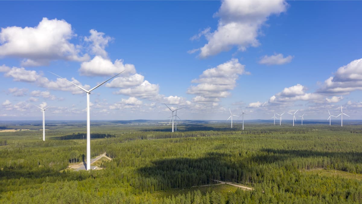 Tuulivoimaloita metsäaukealla.