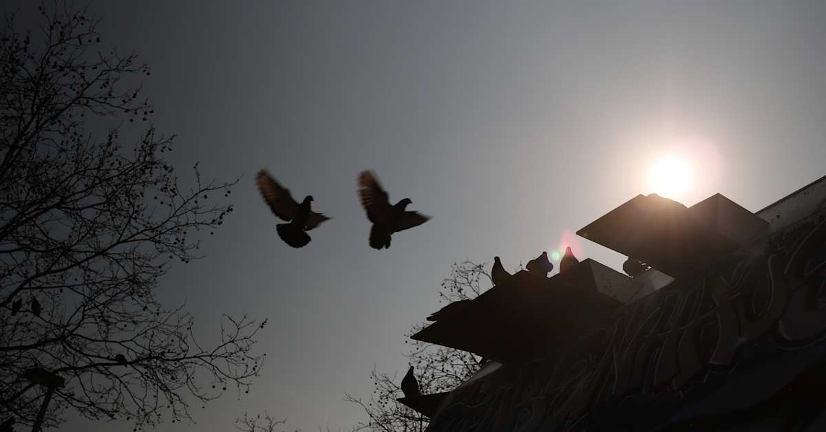 Videoraportti: Terassikauden alku herätti jokakeväisen puluraivon Keski-Euroopassa